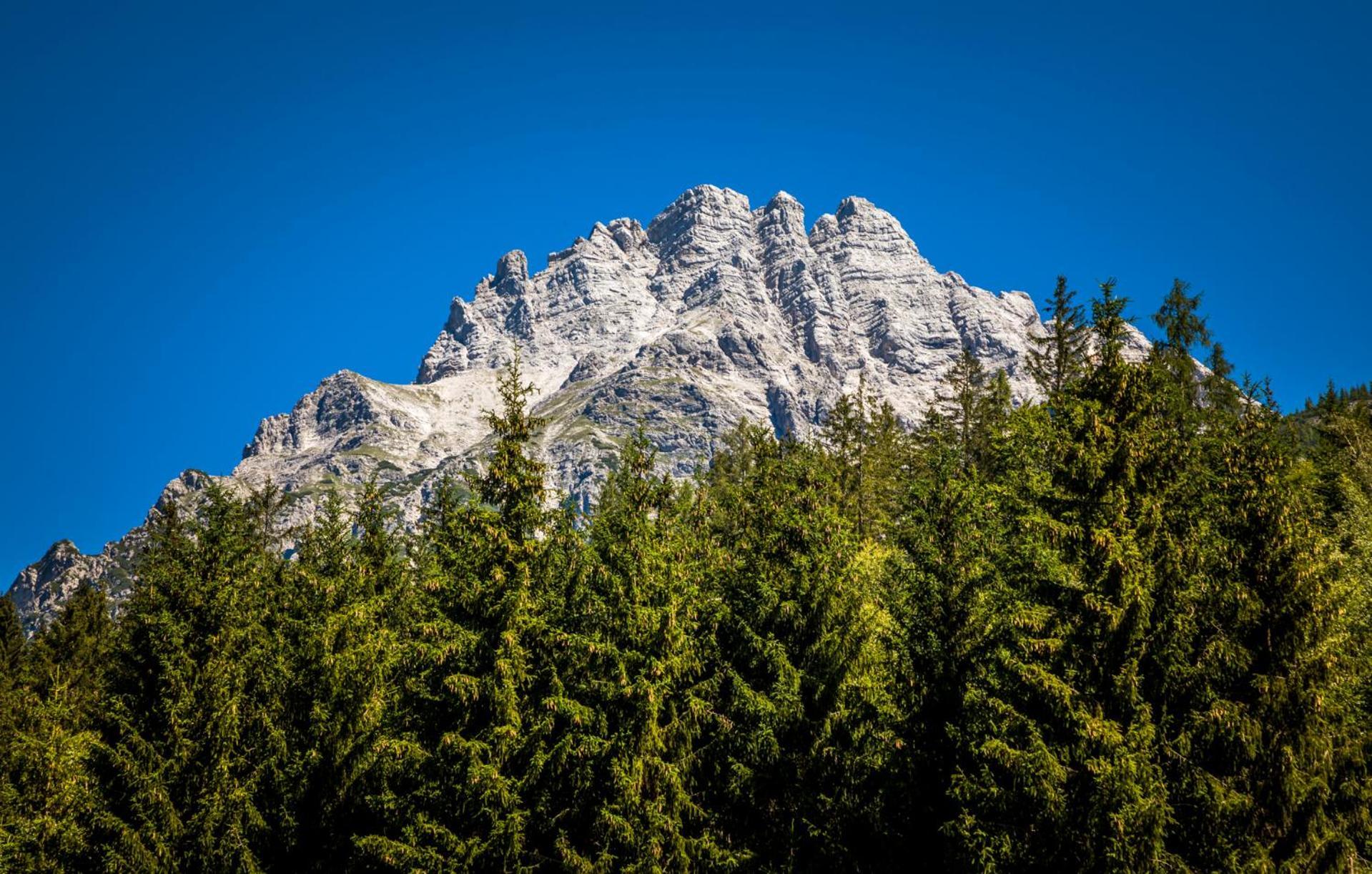 Erbhof Hinterrain Βίλα Leogang Εξωτερικό φωτογραφία