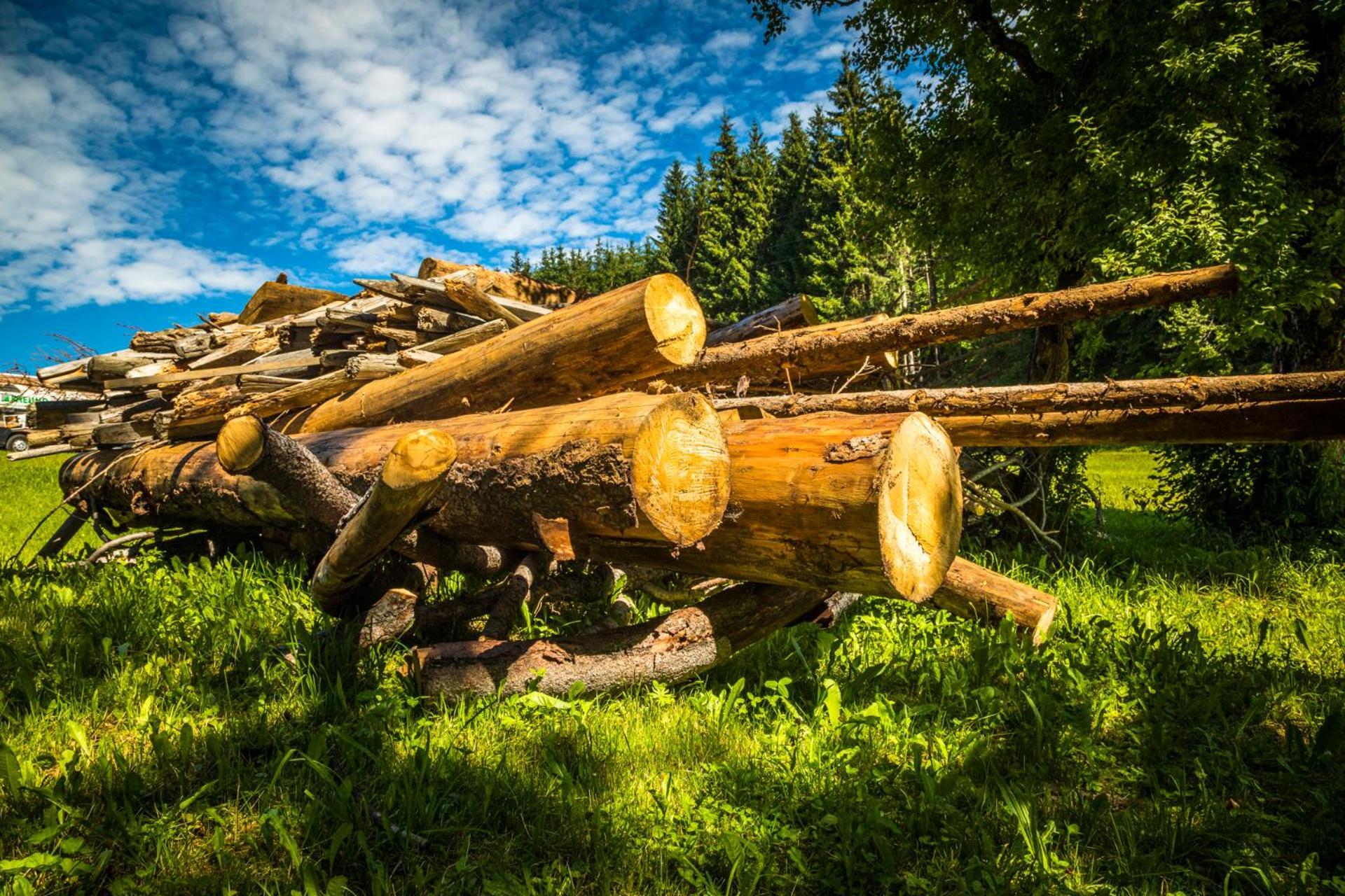 Erbhof Hinterrain Βίλα Leogang Εξωτερικό φωτογραφία